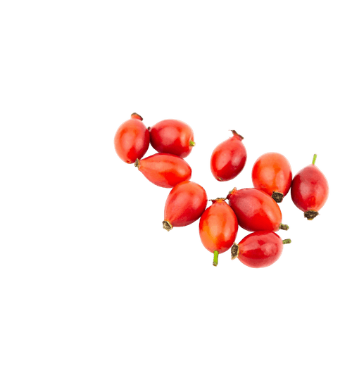 Berries