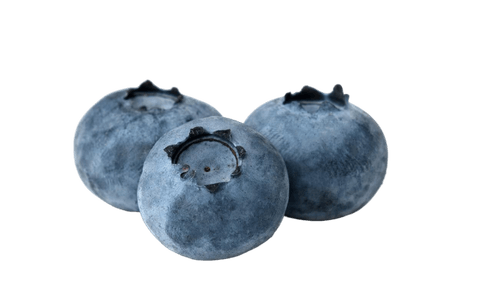 Blueberry