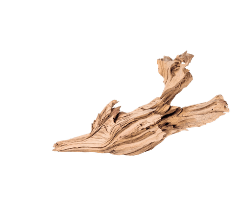 Driftwood